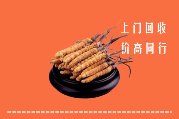 高价求购：镇巴县回收散虫草