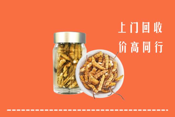 镇巴县回收冬虫夏草
