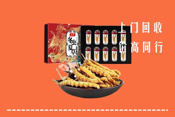 镇巴县回收虫草